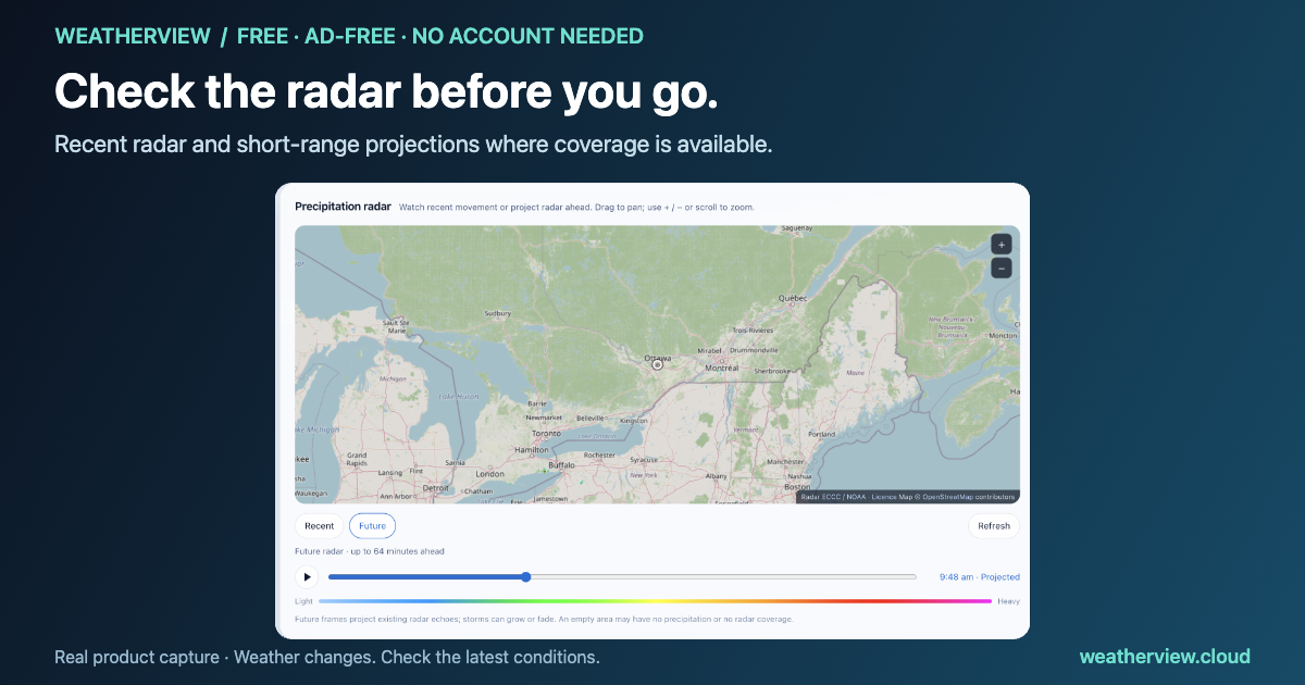 WeatherView precipitation radar with recent and future controls
